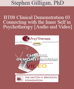 BT08 Clinical Demonstration 03 - Connecting with the Inner Self in Psychotherapy - Stephen Gilligan