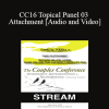 CC16 Topical Panel 03 - Attachment - Rick Miller