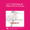 CC17 Workshop 09 - When Porn is an Issue: Couples Counseling & Psychotherapy that Works - Marty Klein