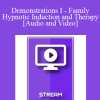 IC92 Workshop 13a - Demonstrations I - Family Hypnotic Induction and Therapy - Camillo Loriedo