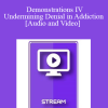 IC92 Workshop 55b - Demonstrations IV - Undermining Denial in Addiction - Michael Elkin
