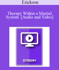Italian Masters Series - Therapy Within a Marital System - Milton Erickson