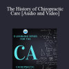 Fabrizio Mancini - The History of Chiropractic Care