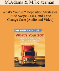 Trial Guides - What's Your 20? Deposition Strategies