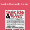 Meagan N. Houston - Suicide & Non-Suicidal Self Injury: New Directions for the Treatment of Suicidal and NSSI Behaviors