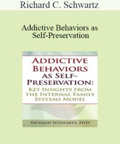 Richard C. Schwartz - Addictive Behaviors as Self-Preservation: Key Insights from the Internal Family Systems Model