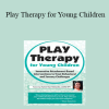 Tammi Van Hollander - Play Therapy for Young Children: Innovative Attachment-Based Interventions to Treat Behavioral and Sensory Challenges