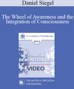 EP13 Clinical Demonstration 02 - The Wheel of Awareness and the Integration of Consciousness (Live) - Daniel Siegel