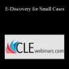 Tom O'Connor - E-Discovery for Small Cases