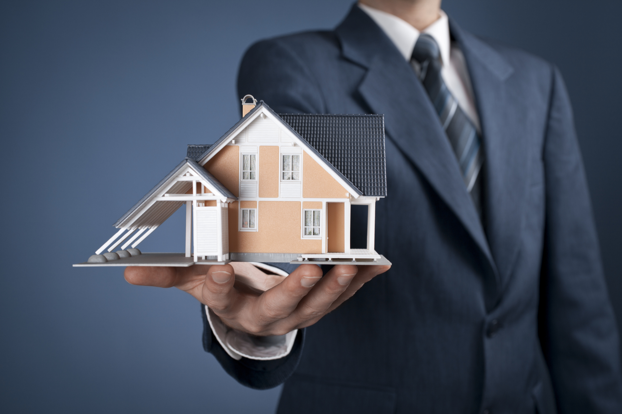 John Schaub- Advanced House Buying Techniques