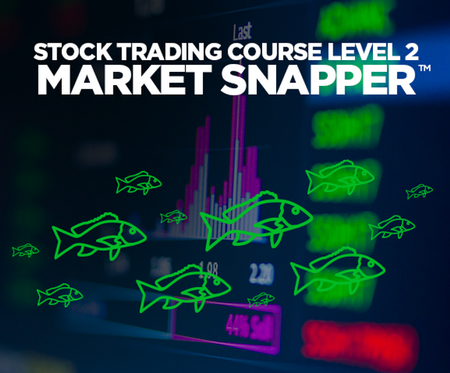 Adam Khoo - Stock Trading Course Level 2: Market Snapper 