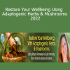 Teresa Boardwine - Restore Your Wellbeing Using Adaptogenic Herbs & Mushrooms 2022