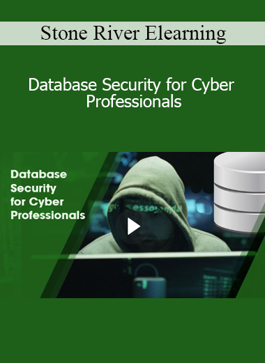 Stone River Elearning - Database Security for Cyber Professionals