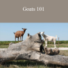 Deborah Niemann - Goats 101