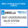 Roger & Barry - eBay Underground Sales (eBus)