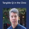 Andrew Nugent-Head - Tangible Qi in the Clinic