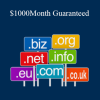 DNBlackbook Ultimate Domaining - $1000Month Guaranteed