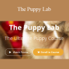 Nando, Jo-Rosie & Dean - The Puppy Lab