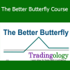 David Vallieres - The Better Butterfly Course