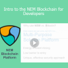 Stone River Elearning - Intro to the NEM Blockchain for Developers
