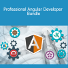 Stone River Elearning - Professional Angular Developer Bundle