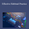 Feible Trading - Effective Habitual Practice
