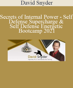 David Snyder - Secrets of Internal Power - Self Defense Supercharge & Self Defense Energetic Bootcamp 2021
