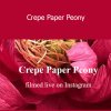 Amity Katharine Libby - Crepe Paper Peony