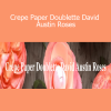 Amity Katharine Libby - Crepe Paper Doublette David Austin Roses