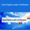 Stone River Elearning - Cloud Digital Leader Certification