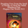 Paul Levy - Breaking Free From the Spell of Wetiko to Heal the Mind Blindness That Plagues Our World 2022