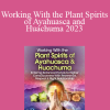 Puma Fredy Quispe Singona - Working With the Plant Spirits of Ayahuasca and Huachuma 2023