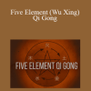 Tom Bisio - Five Element (Wu Xing) Qi Gong