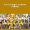 Amity Katharine Libby - 'Prosecco' Paper Multifloret Daffodils