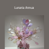 Janita Court - Lunaria Annua
