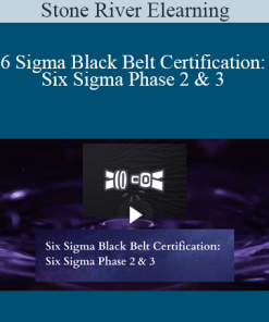 Stone River Elearning - Six Sigma Black Belt Certification: Six Sigma Phase 2 & 3