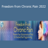 Hal Greenham & Howard Schubiner - Freedom from Chronic Pain 2022