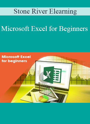 Stone River Elearning - Microsoft Excel for Beginners