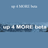 Joe Raa - up 4 MORE beta