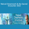 Rodger Kamenetz - Natural Dreamwork & the Sacred Encounter 2022