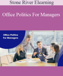 Stone River Elearning - Office Politics For Managers