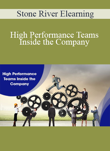 Stone River Elearning - High Performance Teams Inside the Company