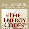 Dr Sue Morter - ECM-21-VIDEO-DIG The Energy Codes of Manifesting - Video of Live Event