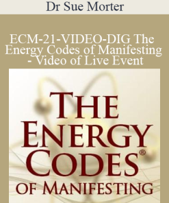 Dr Sue Morter - ECM-21-VIDEO-DIG The Energy Codes of Manifesting - Video of Live Event