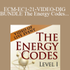 Sue Morter – ECM-EC1-21-VIDEO-DIG-BUNDLE The Energy Codes® of Manifesting and Level I – Video of LIVE Event