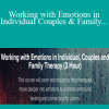 Charise Schwertfeger LMFT & Minon Maier LMFT - Working with Emotions in Individual Couples and Family Therapy (3 Hour)