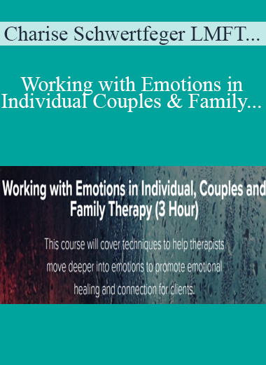 Charise Schwertfeger LMFT & Minon Maier LMFT - Working with Emotions in Individual Couples and Family Therapy (3 Hour)