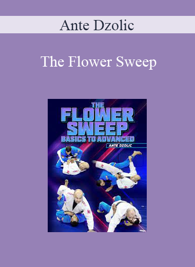 Ante Dzolic - The Flower Sweep