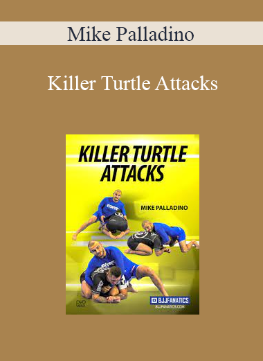 Mike Palladino - Killer Turtle Attacks