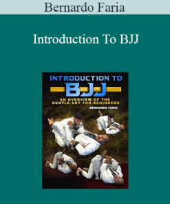 Bernardo Faria - Introduction To BJJ